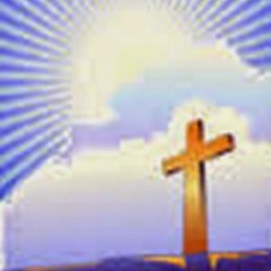 Meet your Posher, Calvin